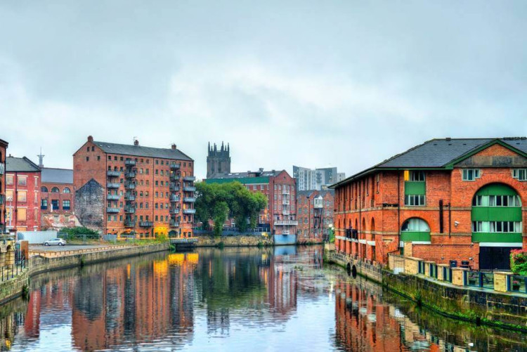 Padel Insights Network